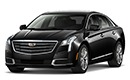 Executive Sedan